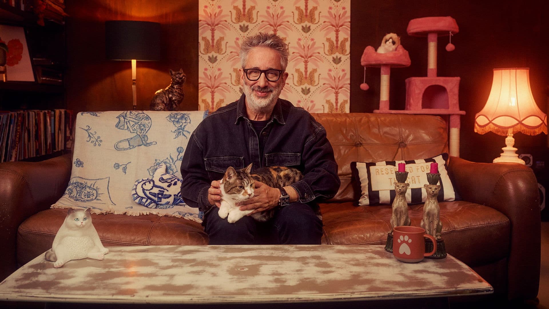 David Baddiel: Cat Man backdrop
